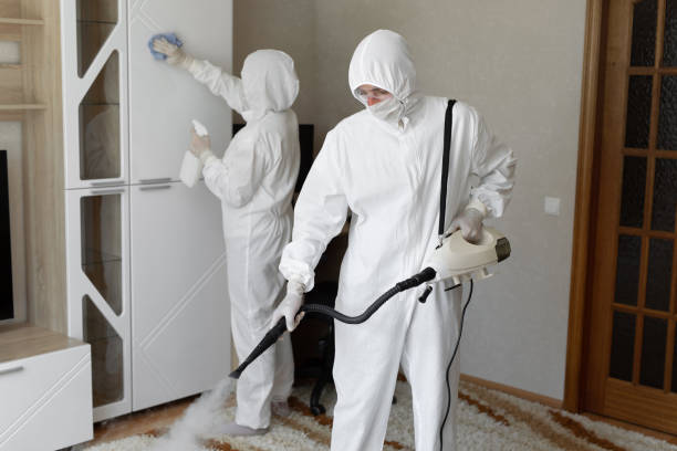 Best Residential Mold Removal  in Union Mill, VA