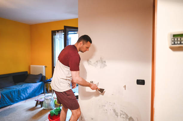  Union Mill, VA Mold Removal Pros
